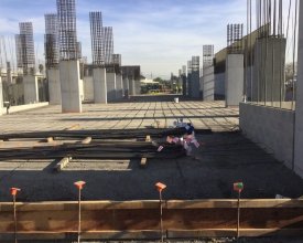 Milpitas 750